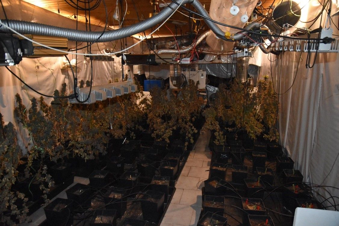 In der Donaustadt konnten die Beamten zahlreiche Beweismittel sichern.