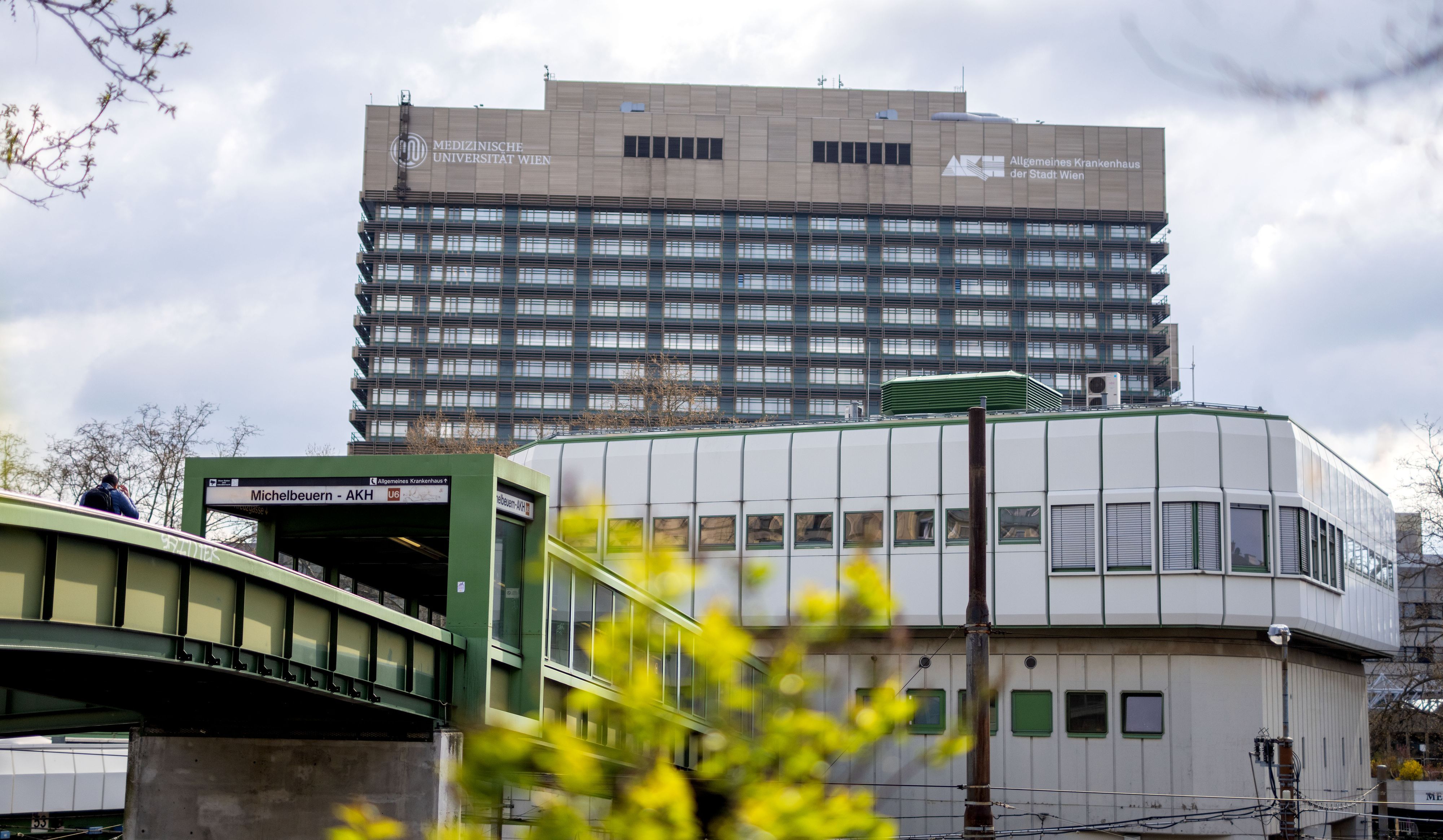 Das Allgemeine Krankenhaus der Stadt Wien (AKH)