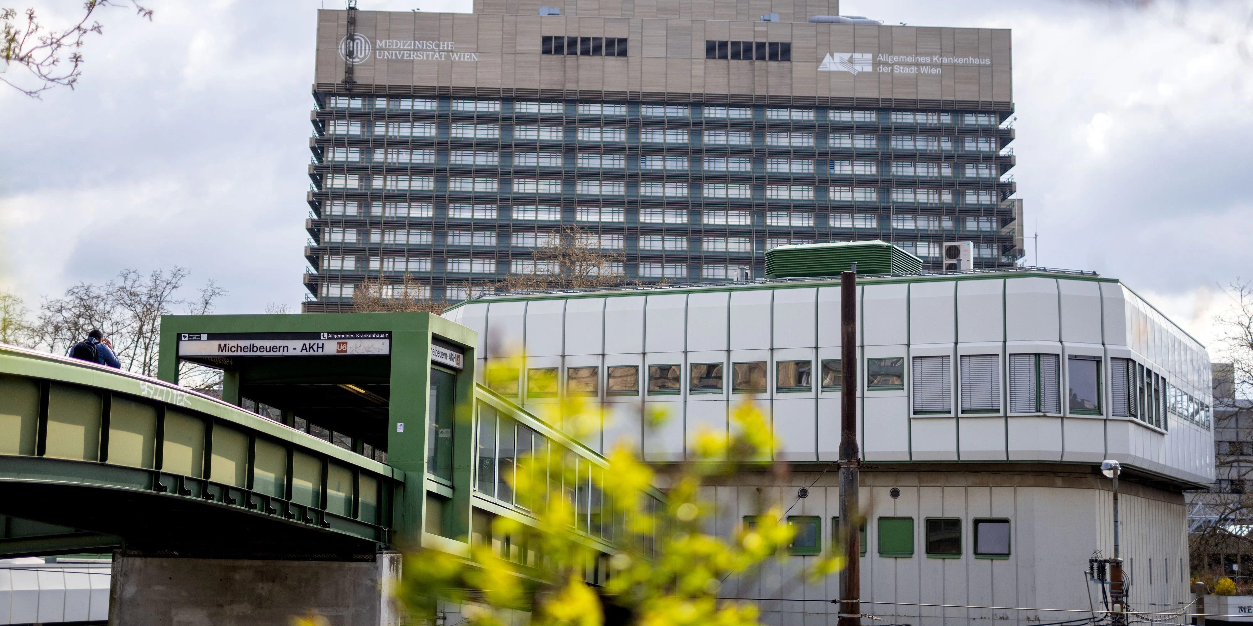 Das Allgemeine Krankenhaus der Stadt Wien (AKH)