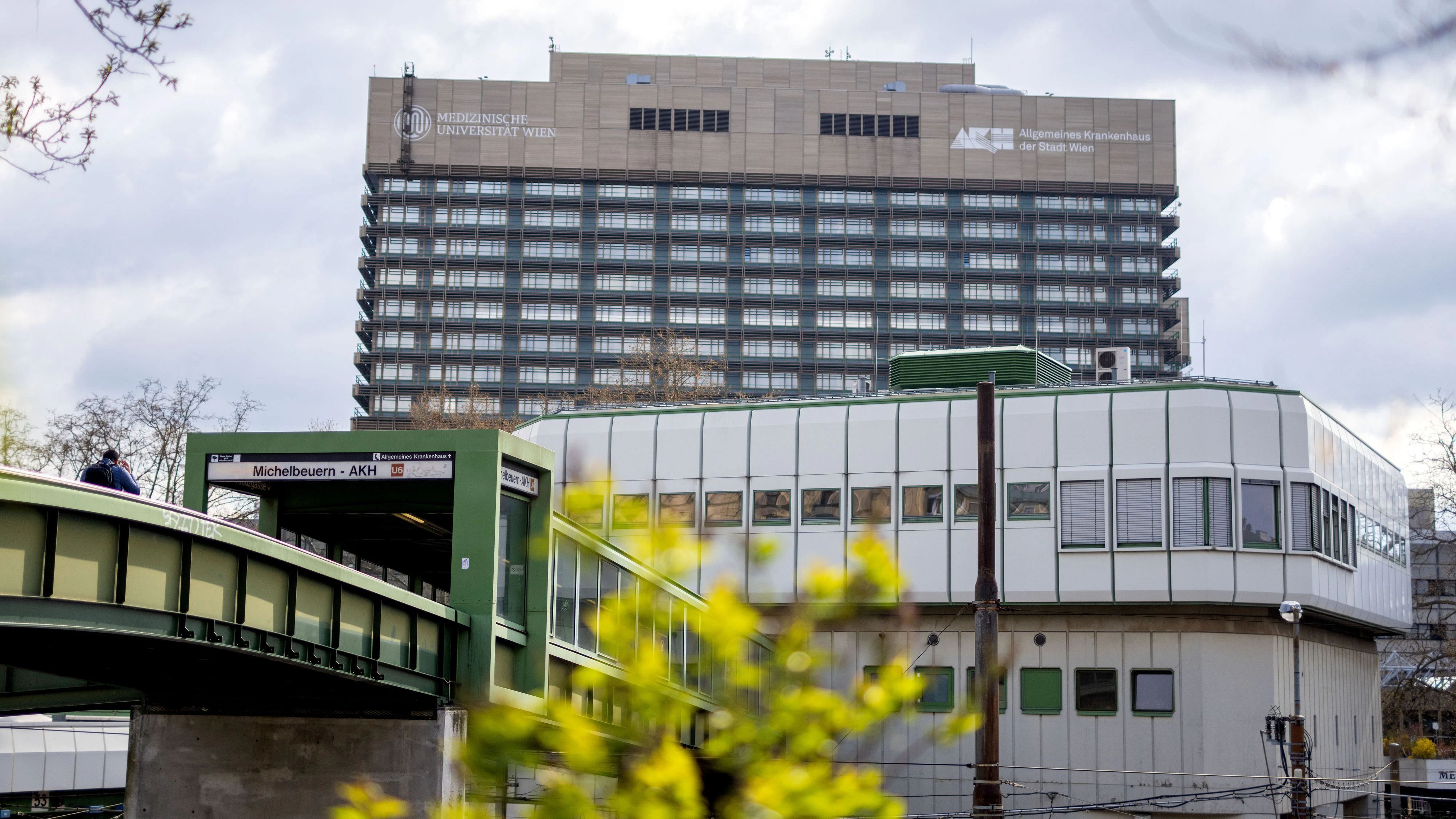 Das Allgemeine Krankenhaus der Stadt Wien (AKH)