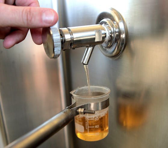 Bierprobenentnahme vor der sogenannten "Würze" in der Ottakringer Bierbrauerei. Archivbild
