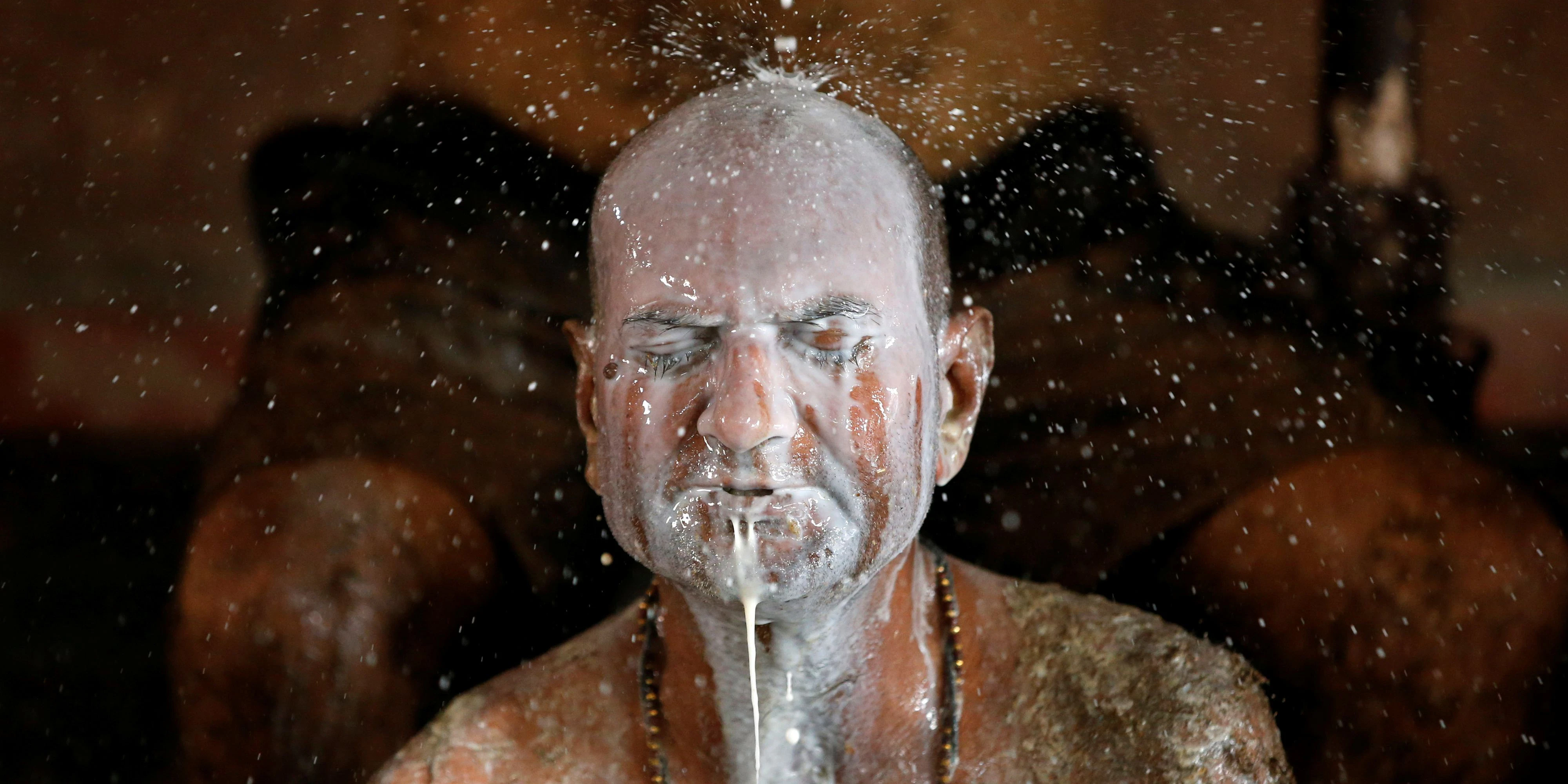 Die trockene Dungkruste wird dann mit Milch oder Buttermilch abgewaschen.<br>