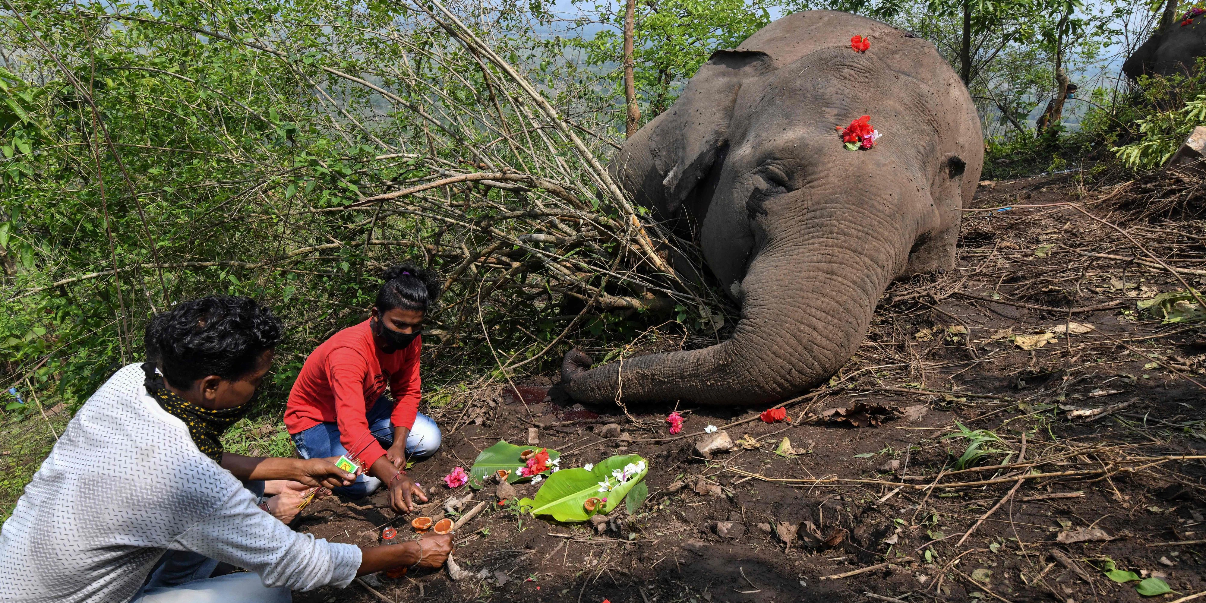 Villagers offer prayers to a dead wild elephant, suspected to have been killed by lightning, on a hillside in Nagaon district of Assam state on May 14, 2021. - At least 18 elephants are suspected to have been killed by lightning in northeastern India, officials said on May 13 as they launched a probe into the incident.