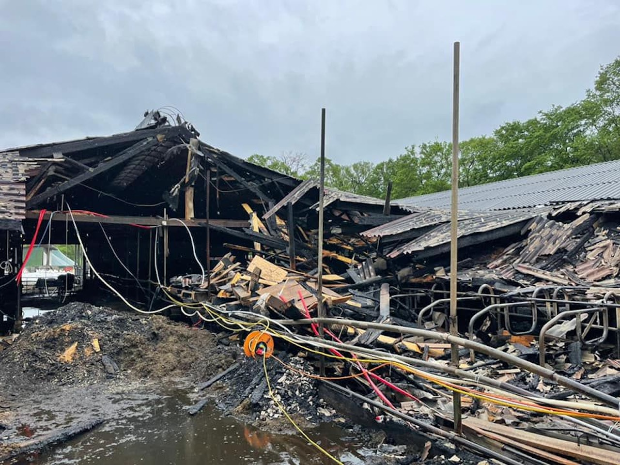 Heute.at - Spendenaufruf für Futter nach Brand auf Bauernhof