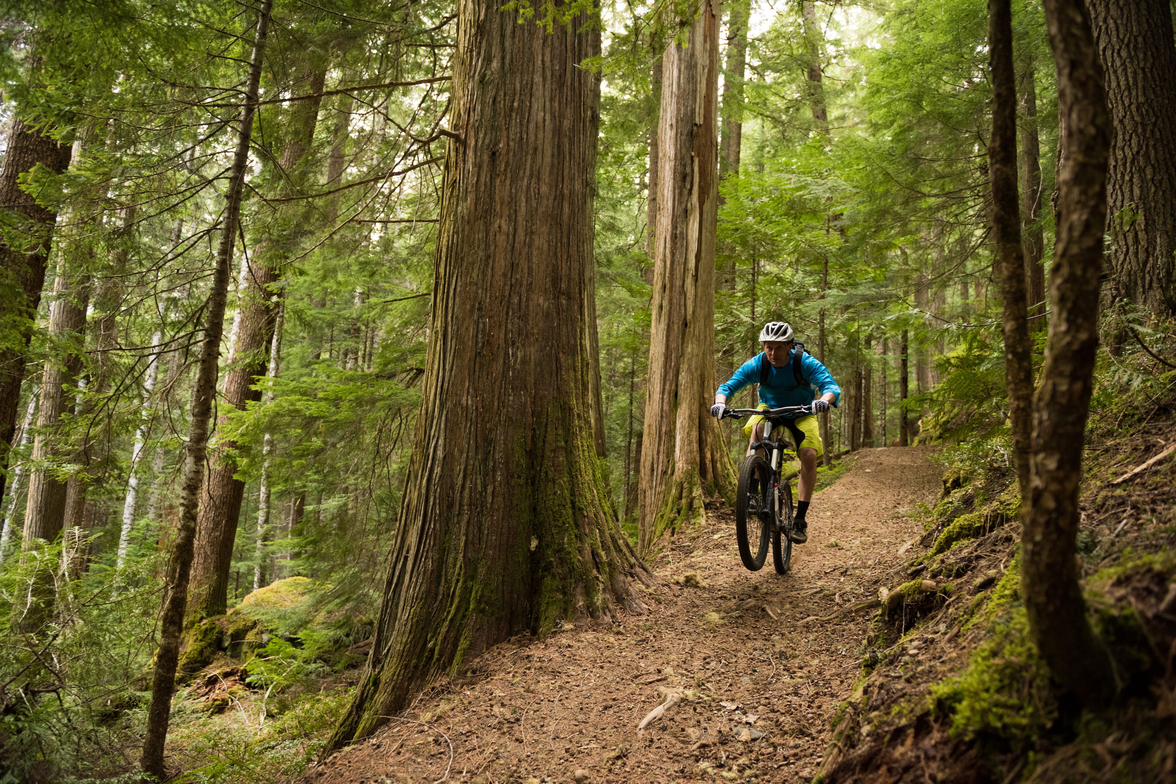 Das Waldviertel will seine Bewegungsangebote sichtbar und attraktiver machen.