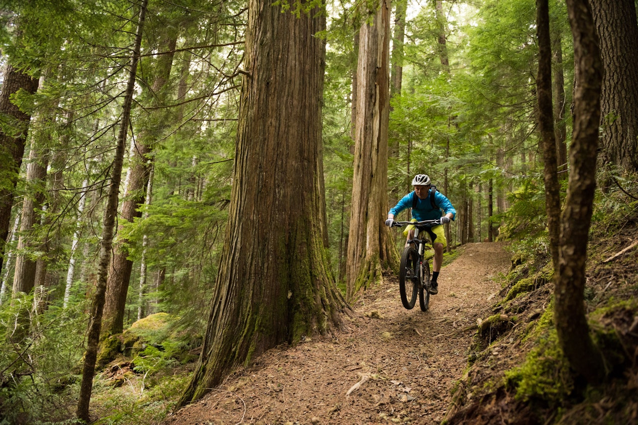 Heute.at - Anschlag auf Biker! Drähte über Trailstrecke gespannt