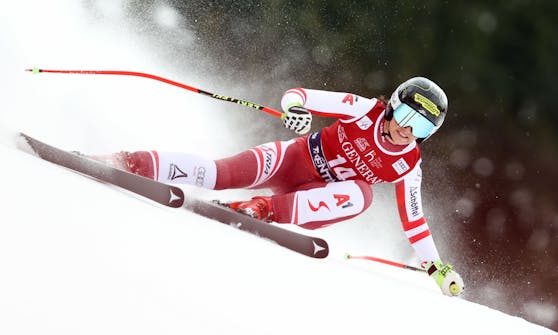 Stephanie Venier