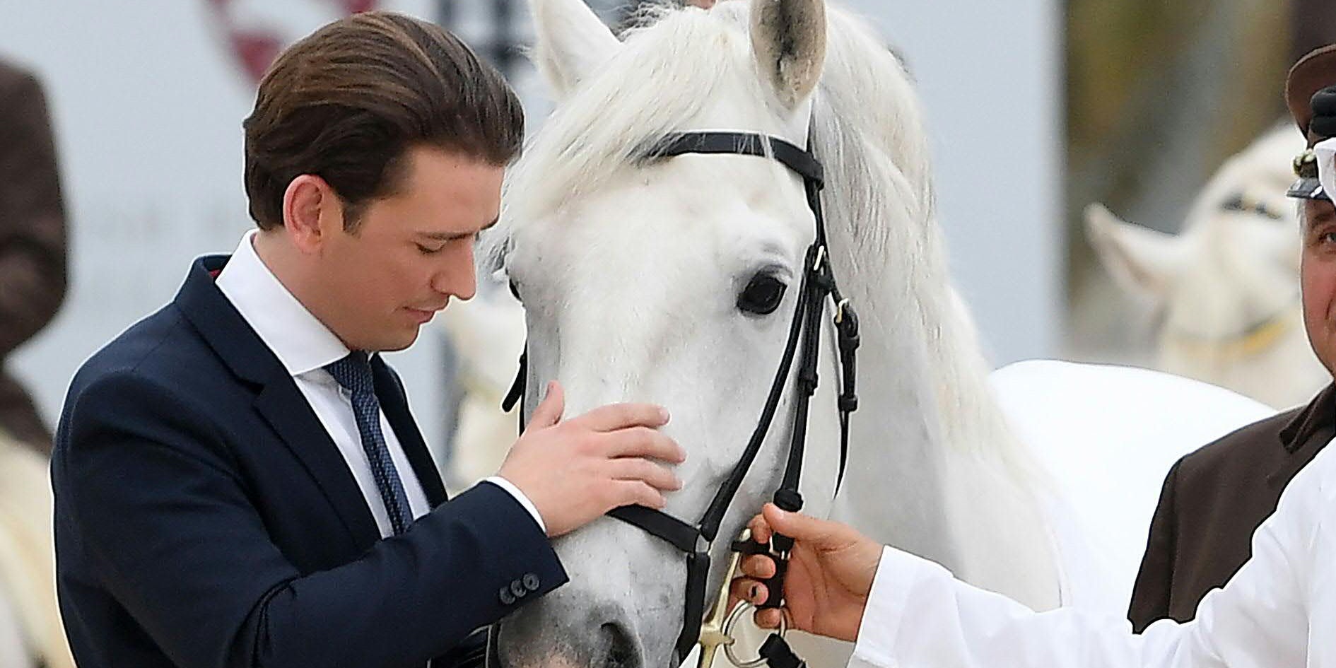 Bundeskanzler Sebastian Kurz (ÖVP) 2019 anlässlich eines Besuchs in den Vereinigten Arabischen Emiraten