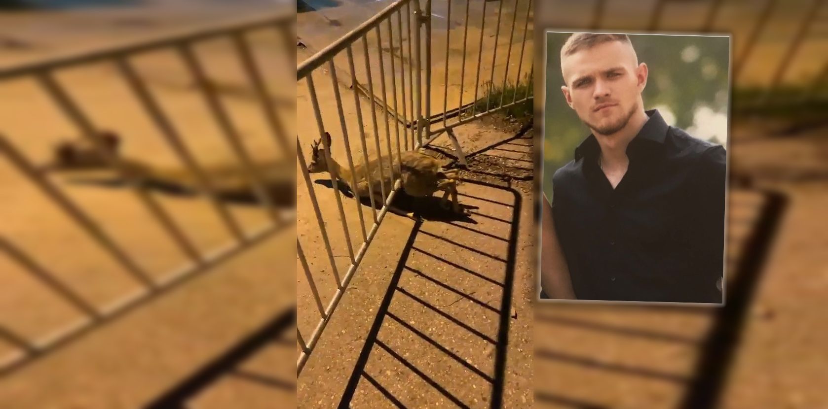 Marko (22) wurde auf das hilflose Reh aufmerksam.