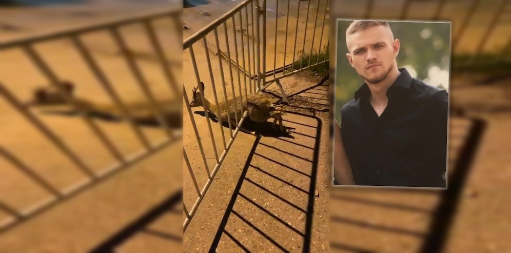 Marko (22) wurde auf das hilflose Reh aufmerksam.