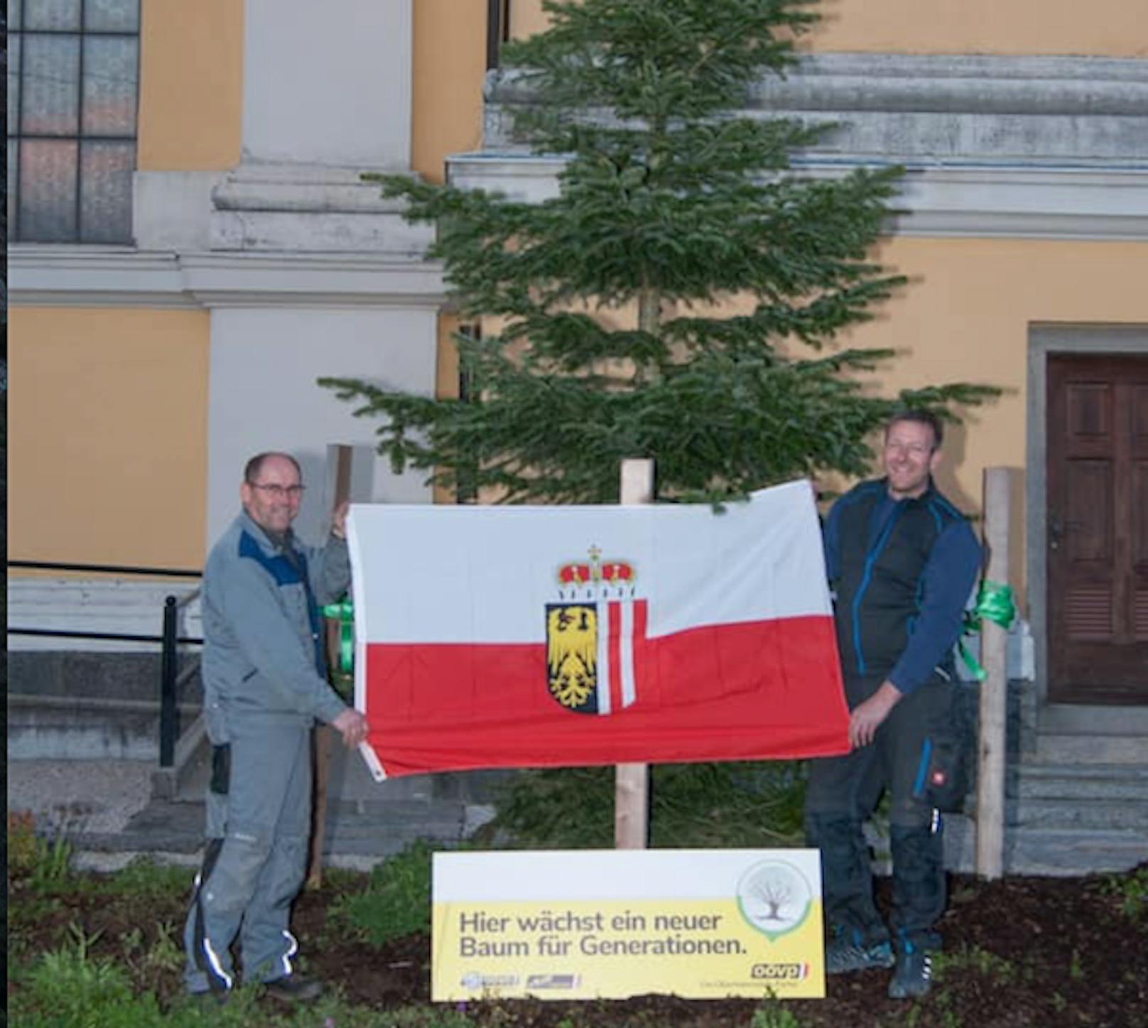 Bürgermeister Josef Wögerbauer und Günther Höglinger präsentieren die neu eingepflanzte Tanne.