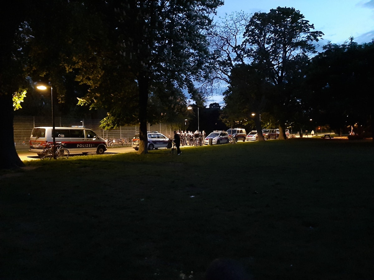 Corona-Party in Wiener Park