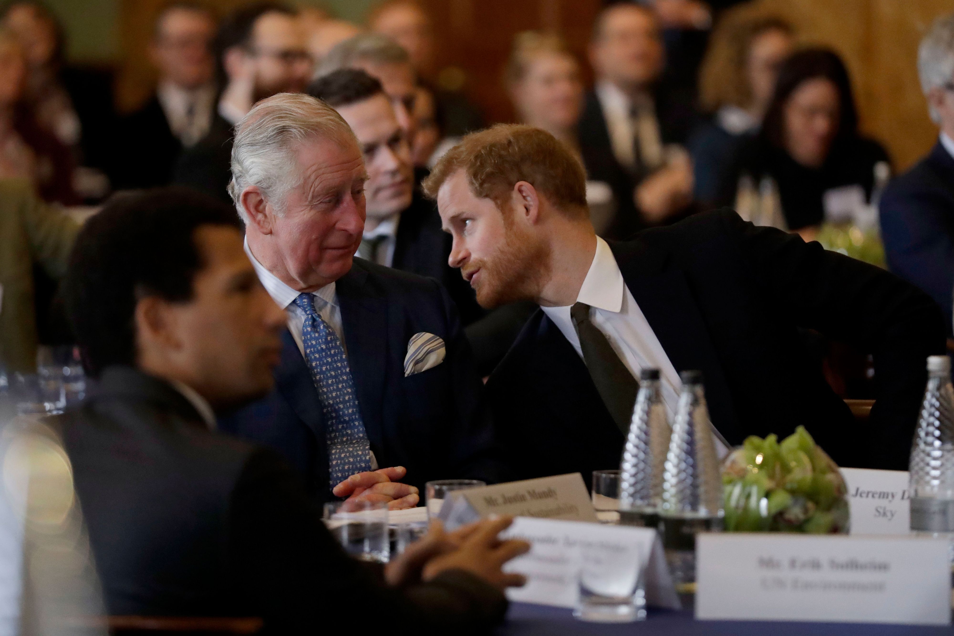 Prinz Charles und Prinz Harry