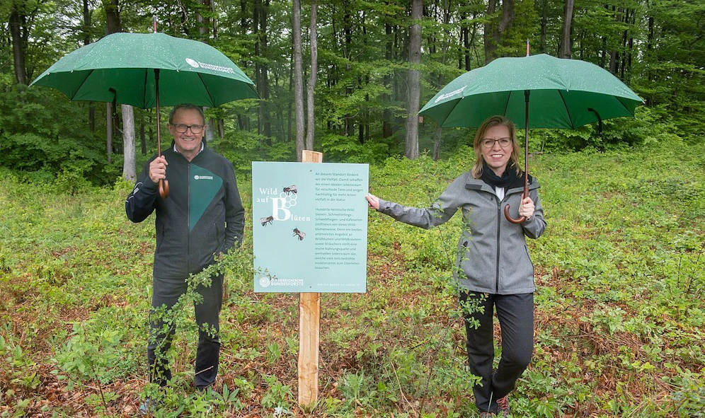 Ökologie und Ökonomie gehen Hand in Hand: Klimaschutzministerin Leonore Gewessler und Bundesforste-Vorstand Rudolf Freidhager beim Lokalaugenschein im Wienerwald
