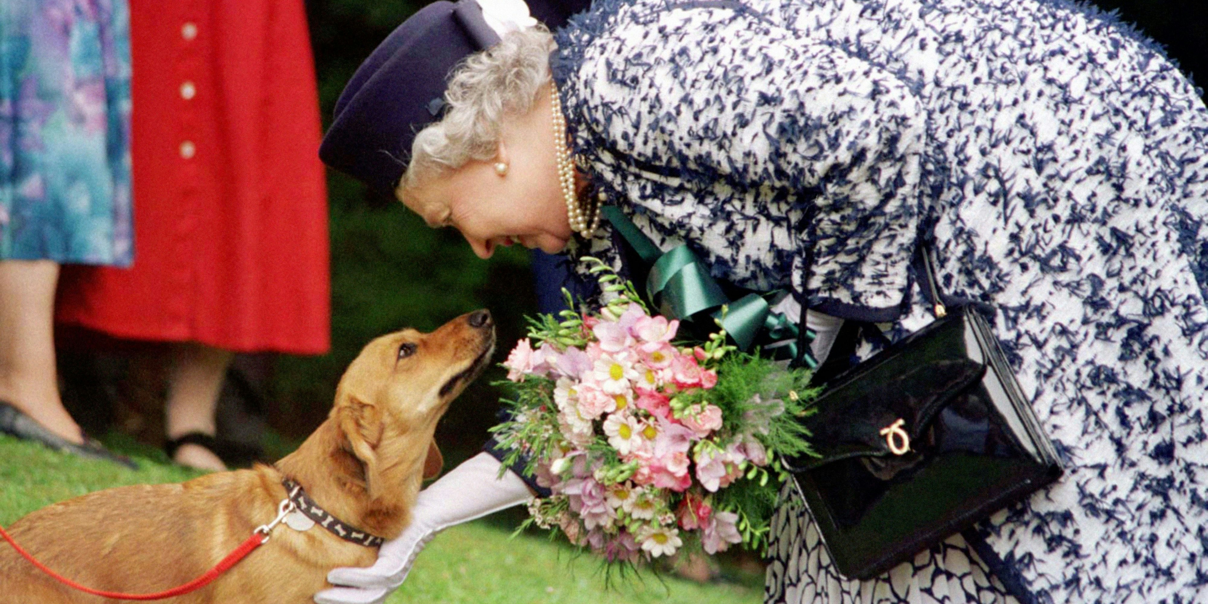 Die Queen mit einem Hund