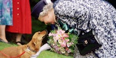 Zustand der Queen nicht gut – Wer führt die Hunde aus?