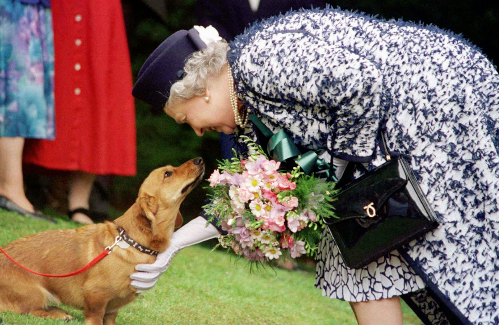 Zustand der Queen nicht gut – Wer führt die Hunde aus?