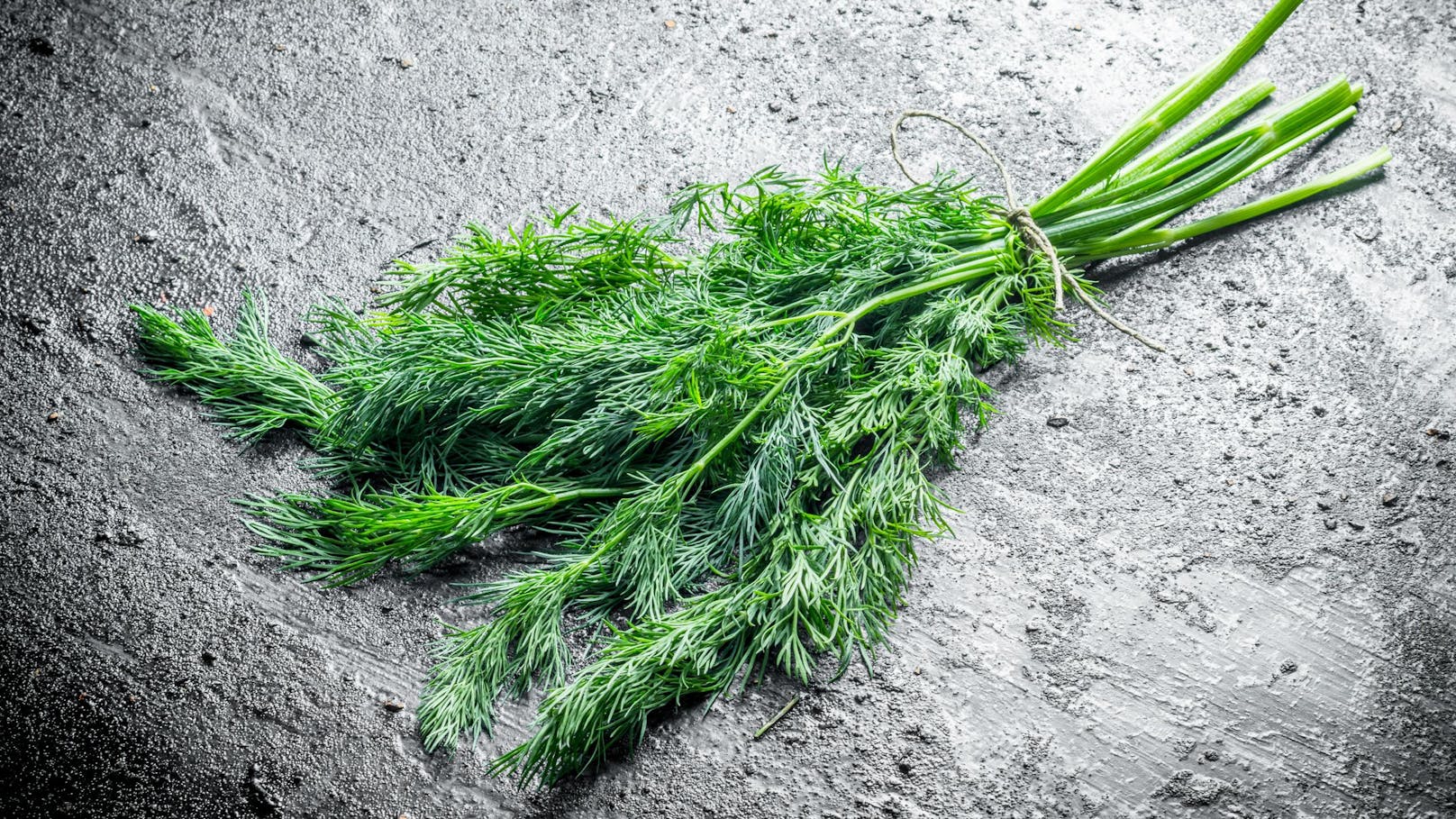 Dill kannst Du aus Samen ziehen: Schon nach zwei bis drei Wochen keimen sie, zwei bis drei Wochen später kannst Du erste Blätter ernten.