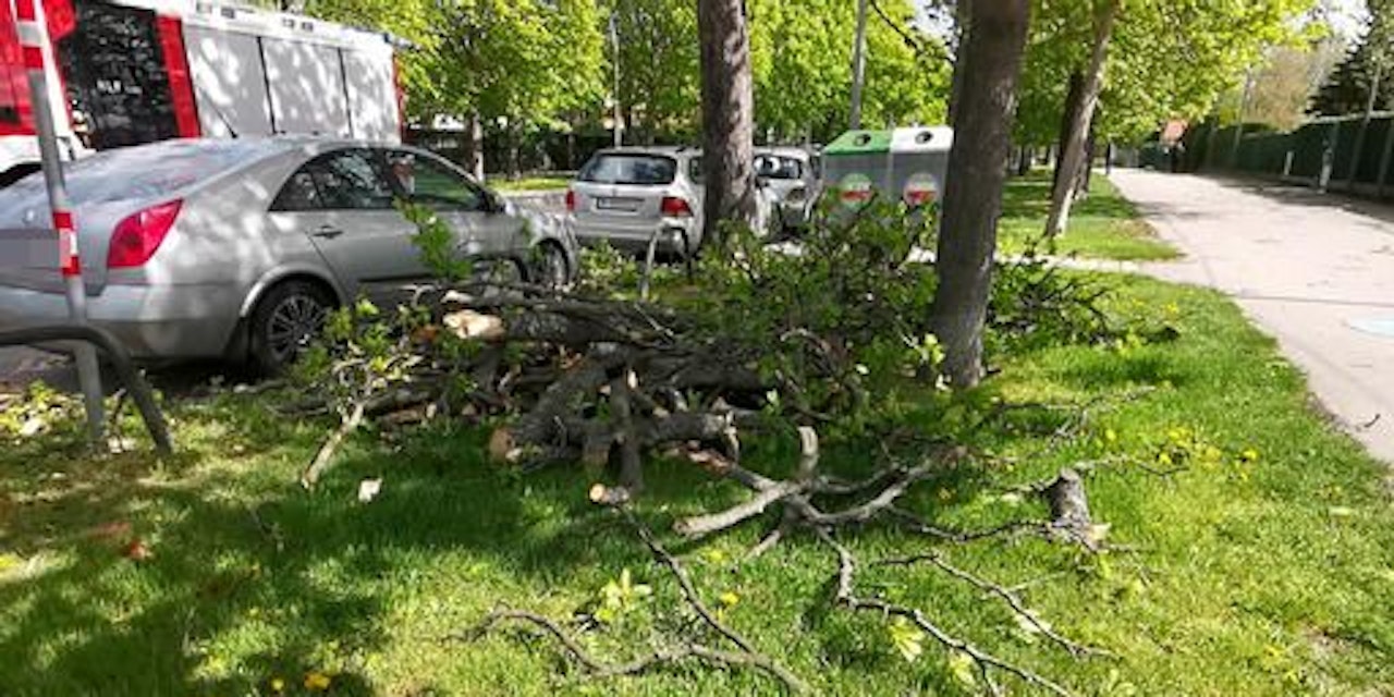 Sturm hinterlässt Spur der Verwüstung in Wien - Wien ...