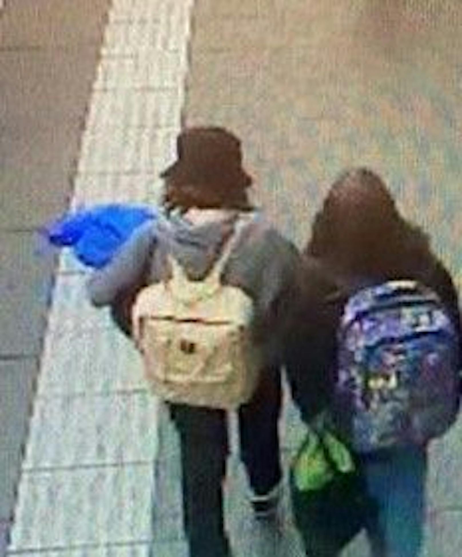 Die beiden Mädchen wurden am Salzburger Bahnhof zum letzten Mal gesehen.