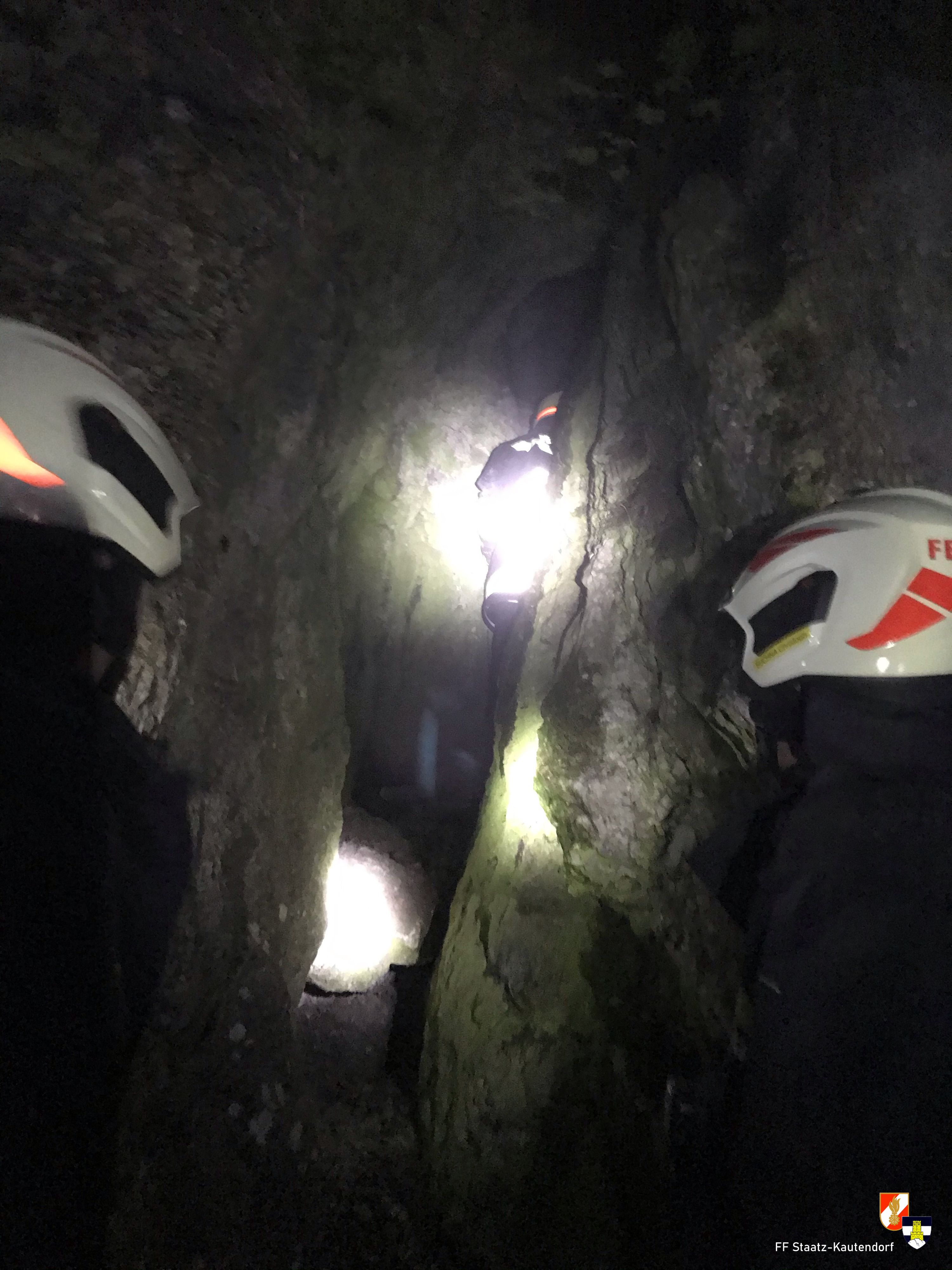 Hund stürzte in Schlucht.