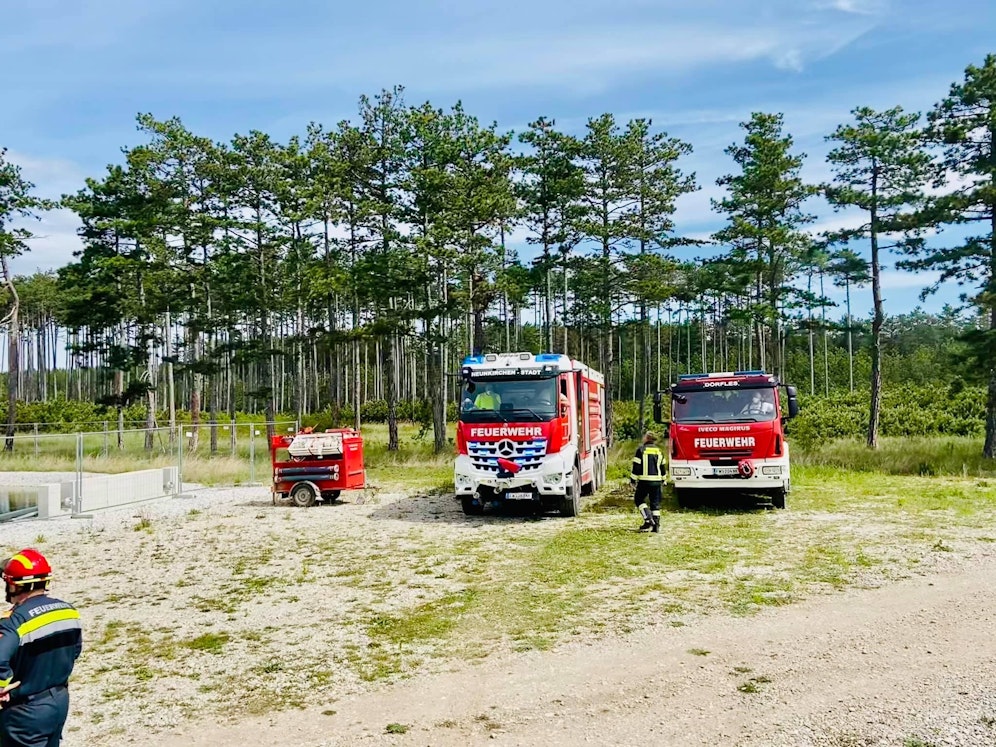 Bei einem Brand eines Föhrenwald bei St. Egyden (NÖ) stehen aktuell 20 Feuerwehren im Einsatz.