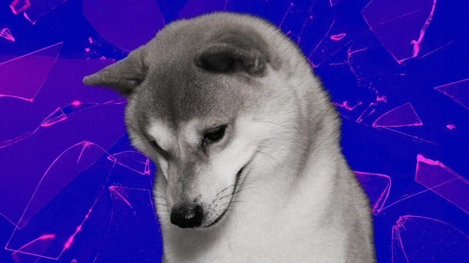Der "Dogecoin"-Killer und Ethereum-Gründer Vitalik Buterin wurde vor allem durch seine Kryptowährungen berühmt. Er verkaufte online Memes mit den berühmten Hunden.