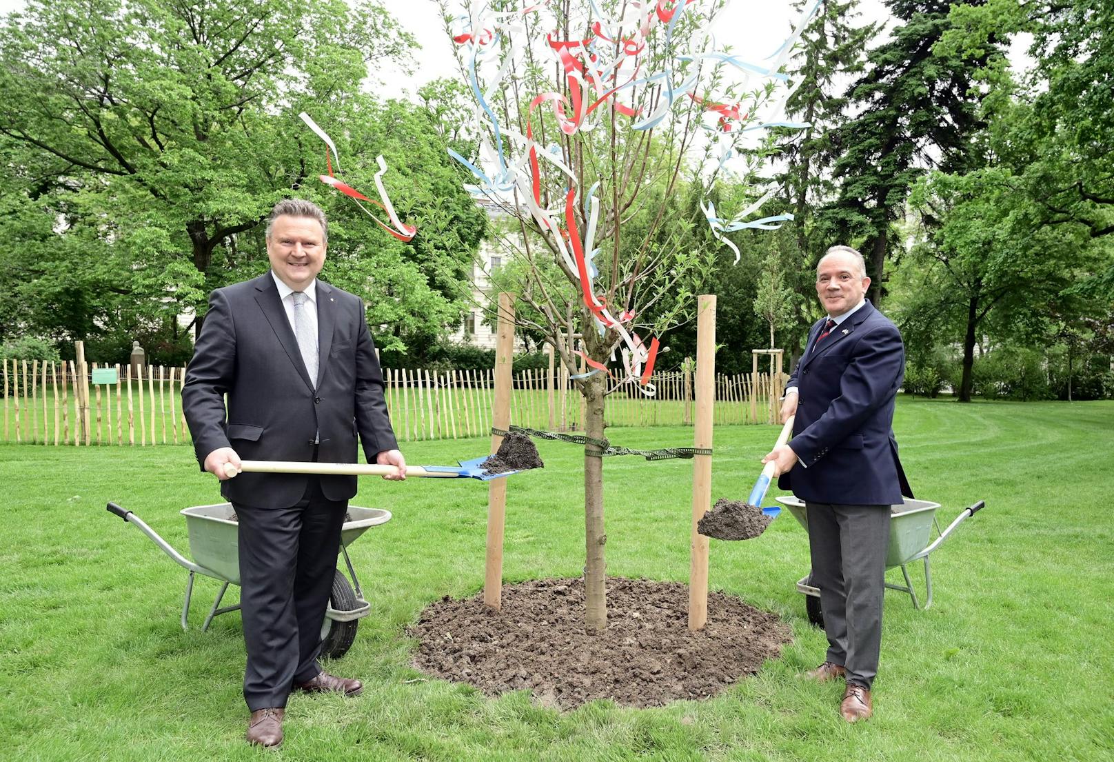 Bürgermeister Ludwig pflanzt mit dem Botschafter aus Israel einen Mandelbaum
