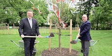 "Freundschaft": Wien pflanzt Mandelbaum für Israel
