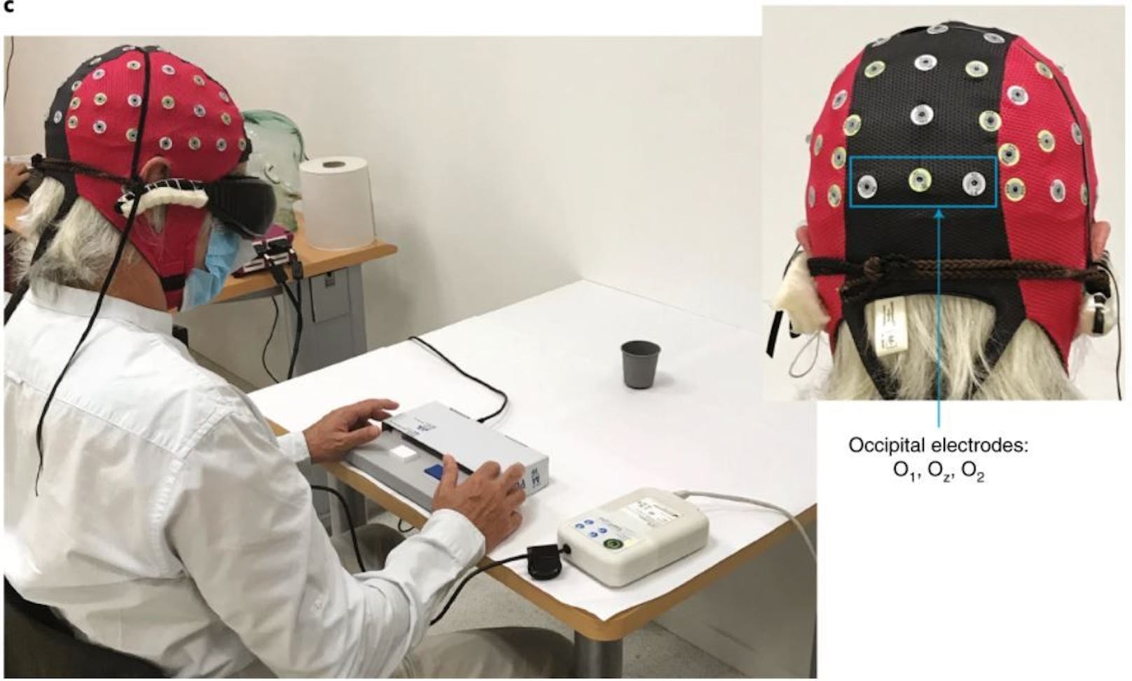 Bei einem Versuch sollte der Patient Knöpfe drücken, um anzugeben, ob sich ein Glas auf dem Tisch vor ihm befand oder nicht. Dabei trug er eine Kopfhaube mit Elektroden, die ein Elektro-Enzephalogramm (EEG) seiner Gehirnaktivität aufzeichneten. Die Auswertung der EEG-Messungen zeigte, dass sich die Aktivität im visuellen Kortex seines Gehirns entsprechend änderte, je nachdem, ob das Glas vorhanden war oder nicht. Damit konnten die Forschenden bestätigen, dass die Gehirnaktivität tatsächlich mit einem visuellen Objekt in Verbindung stand und die Netzhaut nicht mehr blind war.