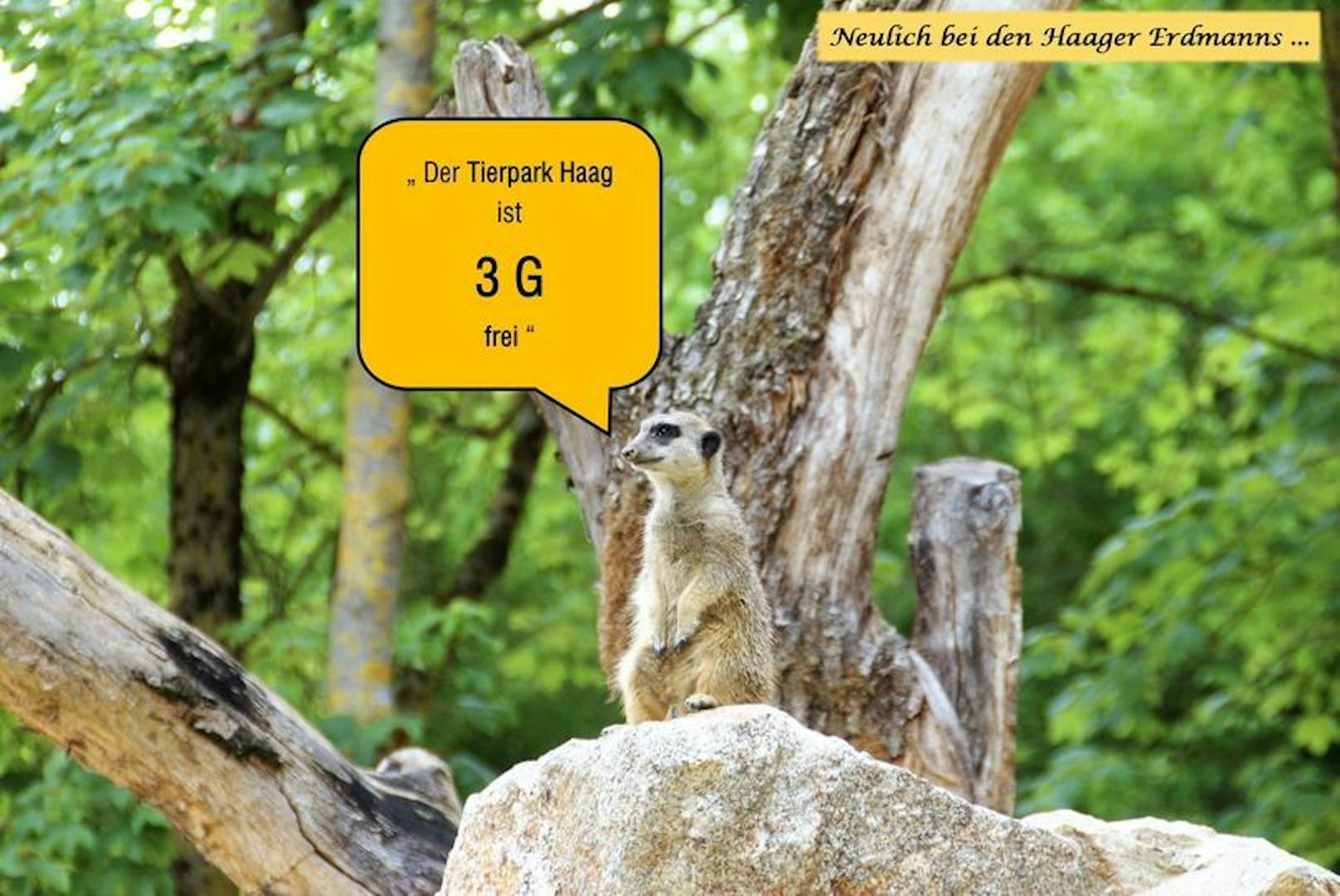 Der Tierpark Haag ist 3G-frei; Posting vom Donnerstag.