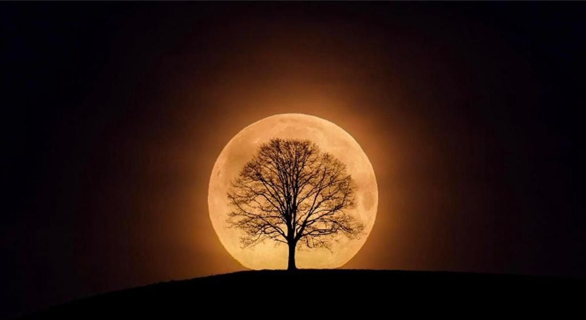 Dieser perfekt getimte Shot kam von Leser Stefan.