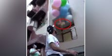 Unfassbar! Youtuber befestigte Hund an Heliumballons