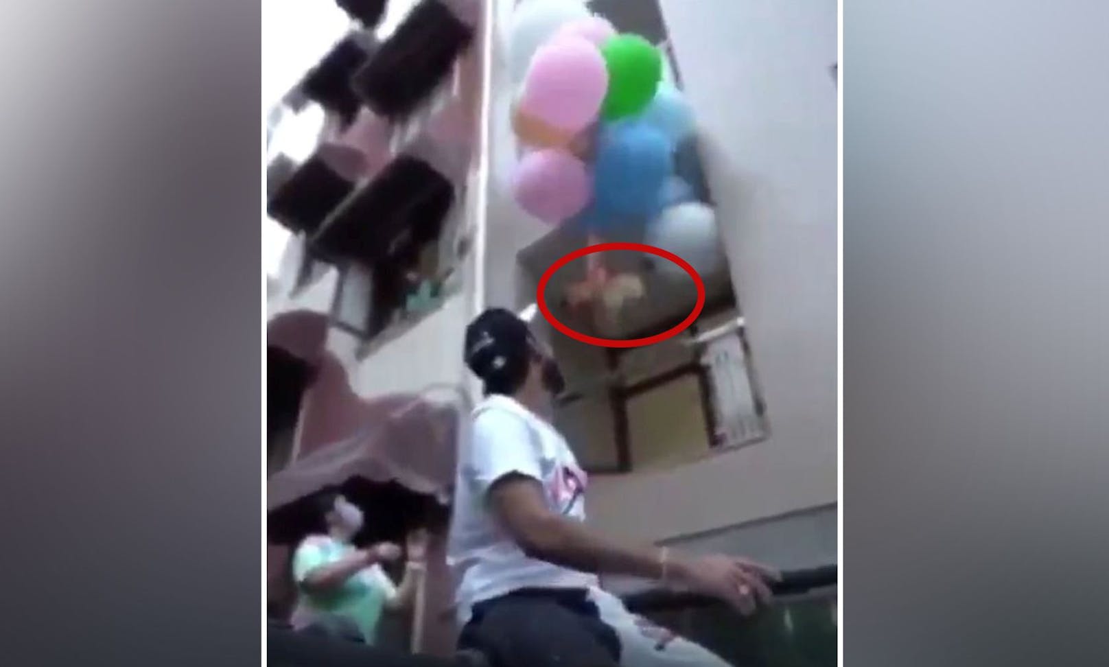 Unfassbar! Youtuber befestigte Hund an Heliumballons