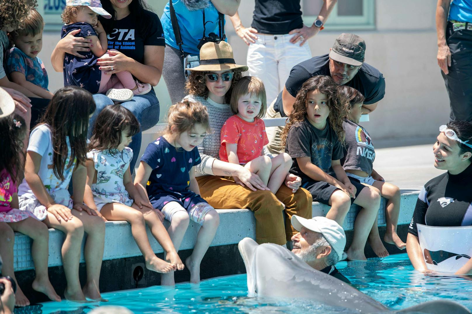 Bald könnten "Delfinarien" der Vergangenheit angehören und die sozialen Tiere nicht mehr in Gefangenschaft leben müssen. 