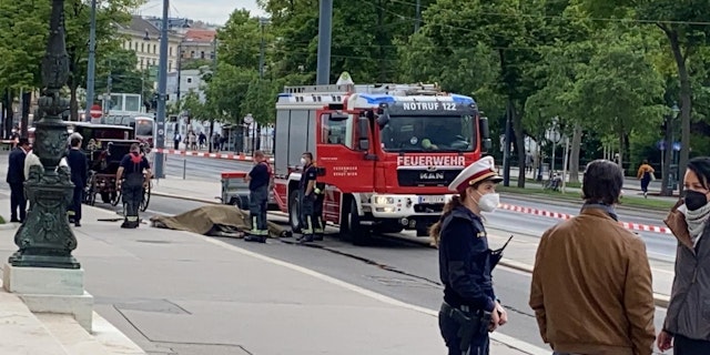 Fiaker Pferd Fallt Mitten In Der Wiener City Tot Um Leser Heute At