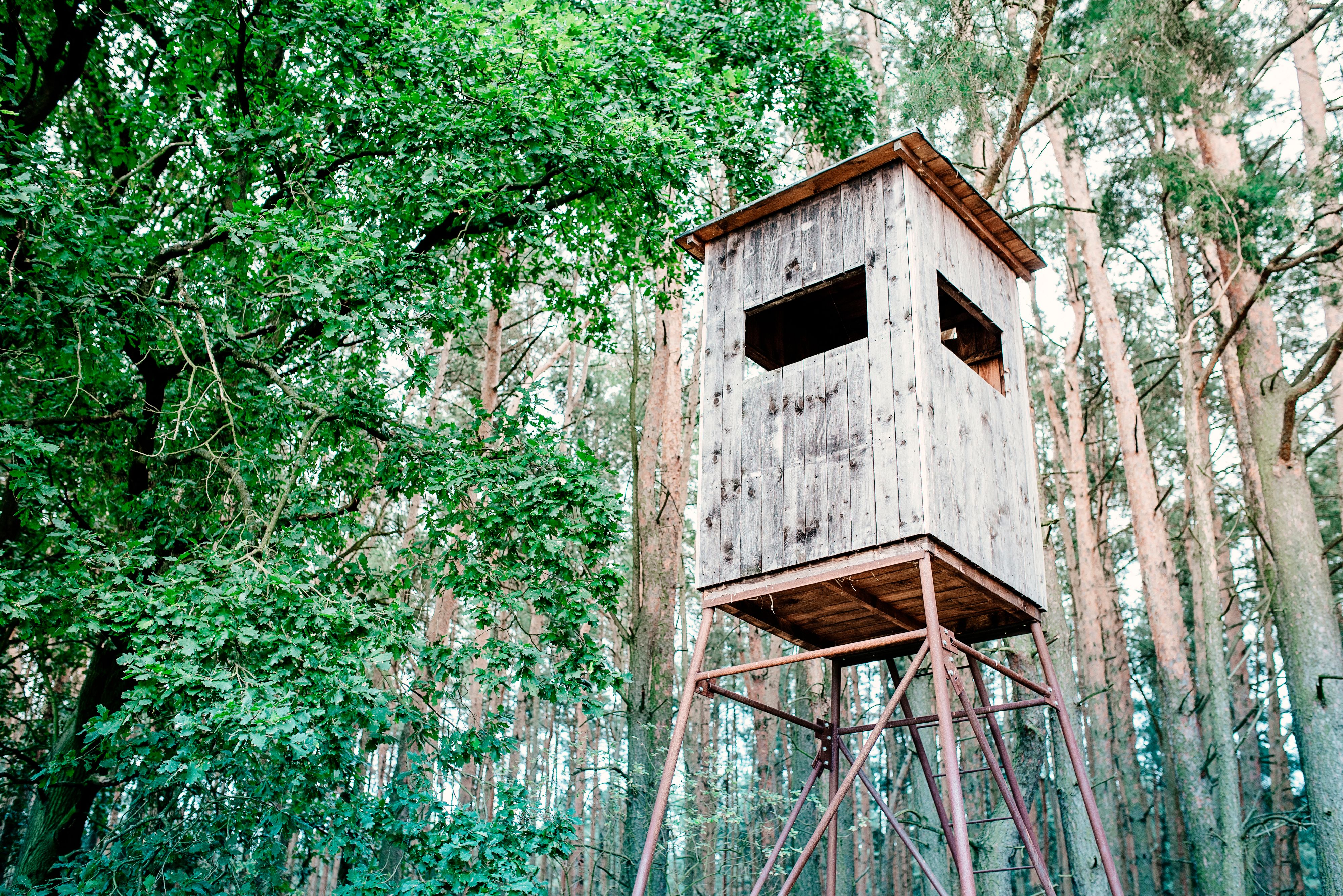 Jägerhochstand (Symbolbild)