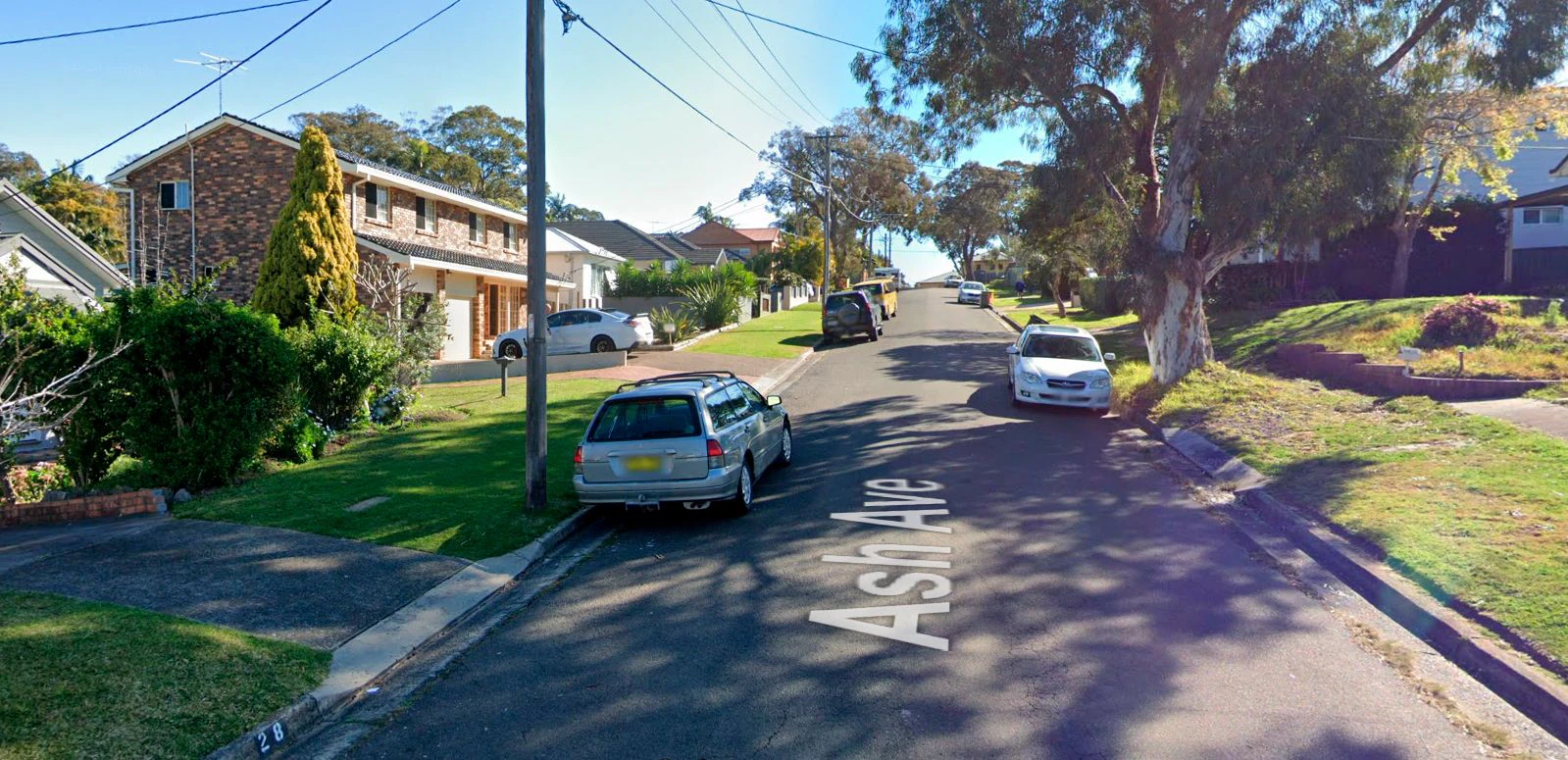Der Unfall ereignete sich in der Ash Avenue in Caringbah South