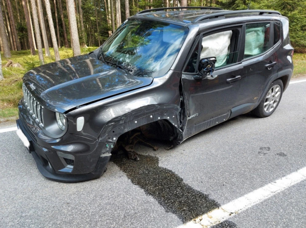 4 Verletzte nach Alkounfall