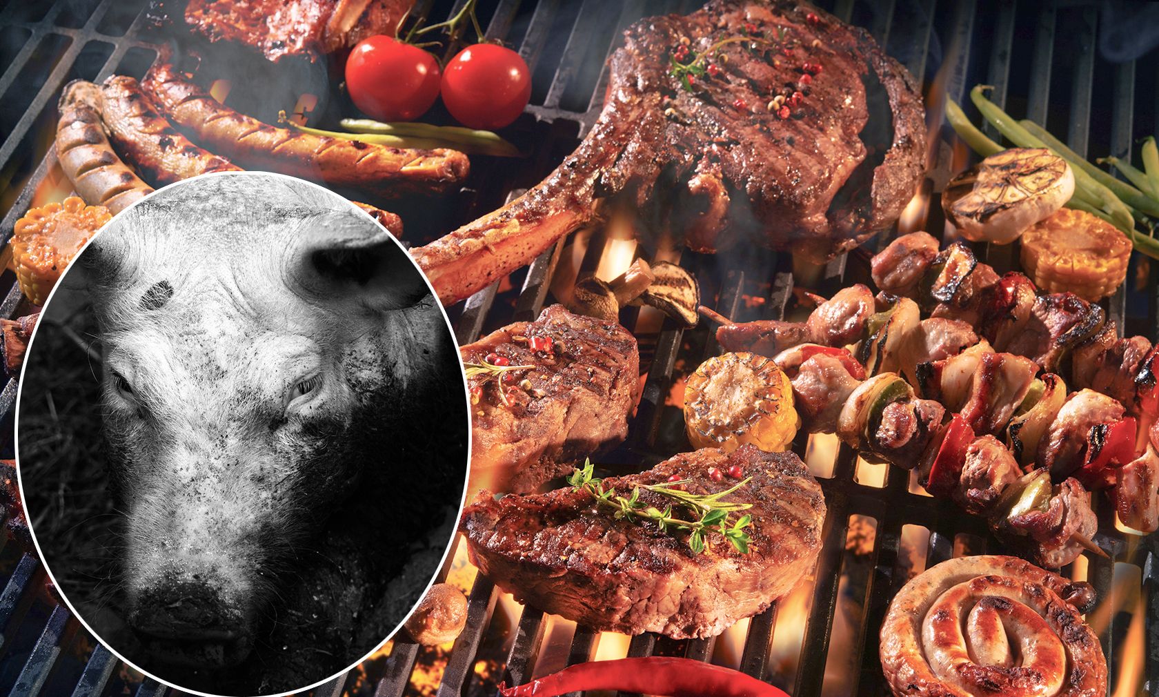 Eine genaue Recherche von Vier Pfoten bittet Fleisch-Konsumenten nun um Vorsicht. 