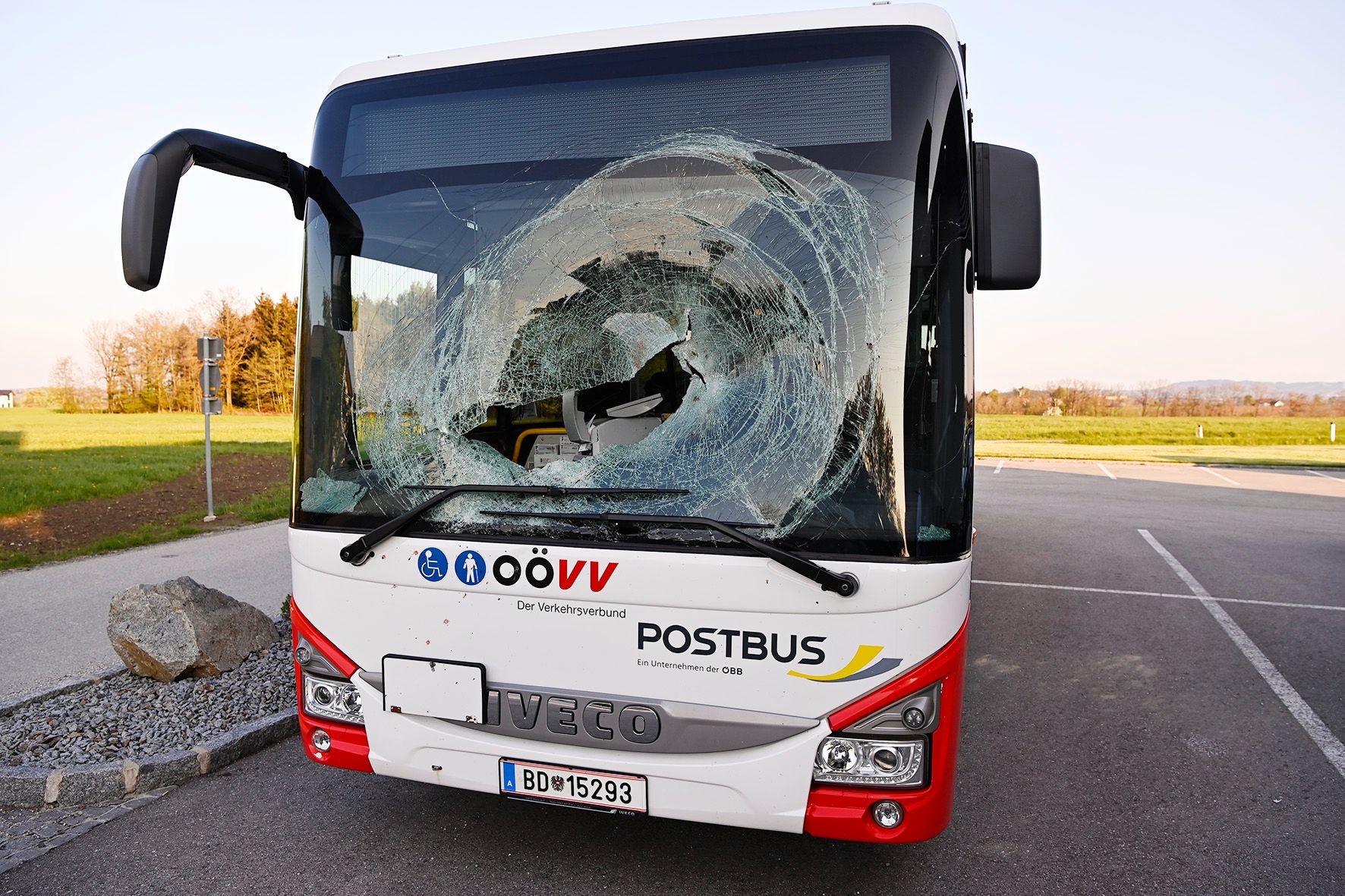 Der Bus nachdem Unfall. Auch das Tier hatte es schwer erwischt, es wurde getötet. 