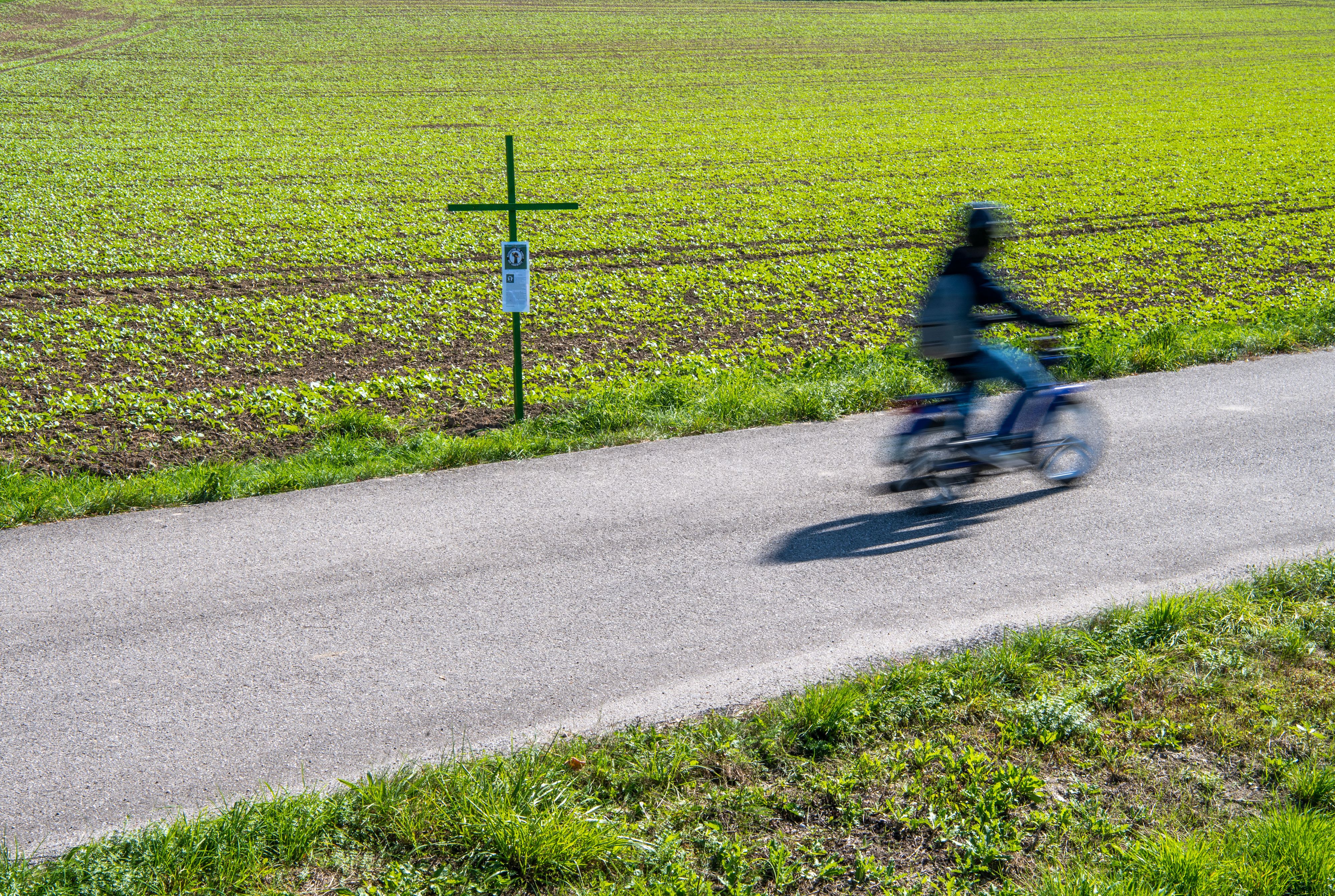 Ein Mofa-Fahrer auf einer Landstraße. Symbolbild
