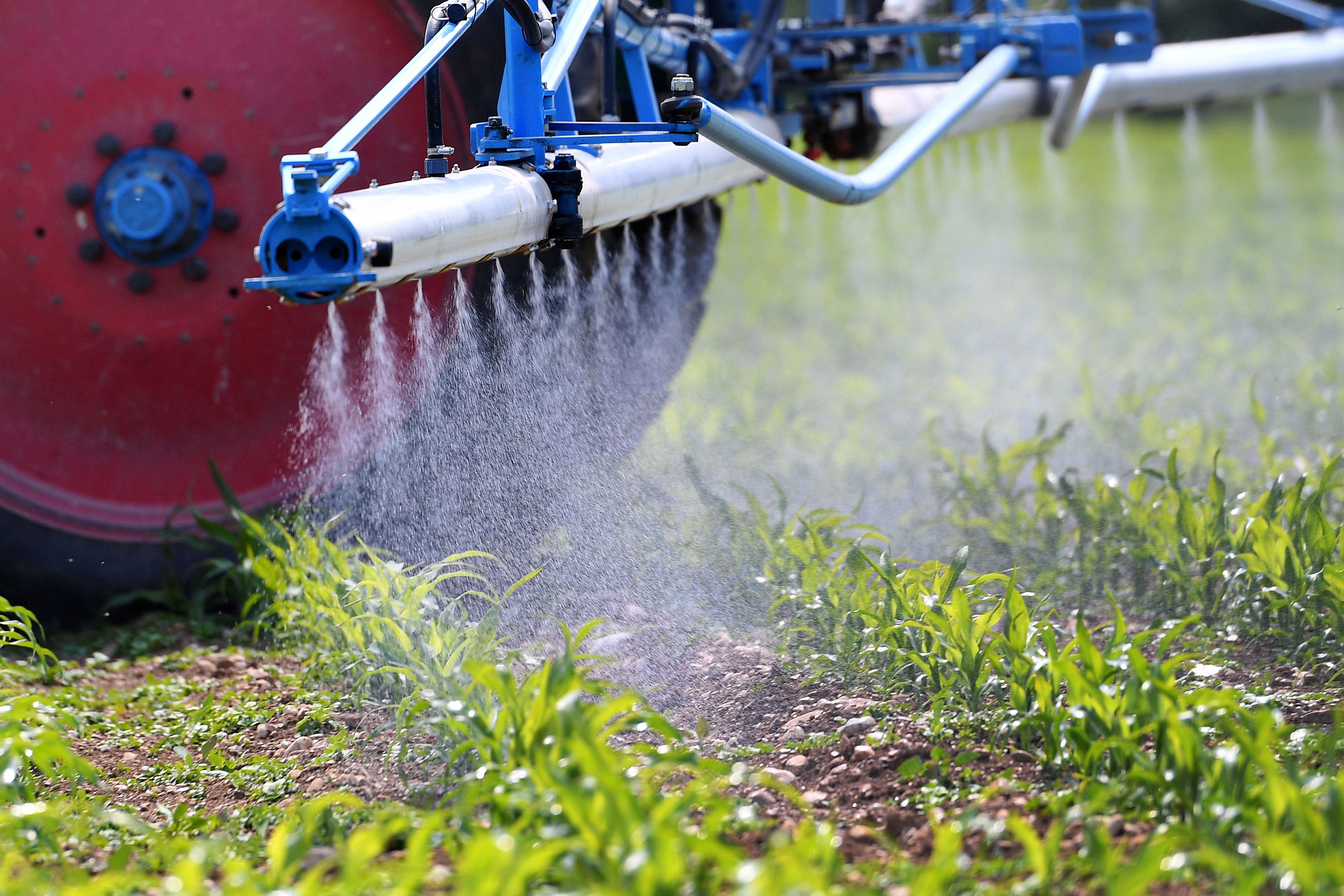 Der Landwirtschaftsausschuss stimmt für ein Teilverbot von Glyphosat.