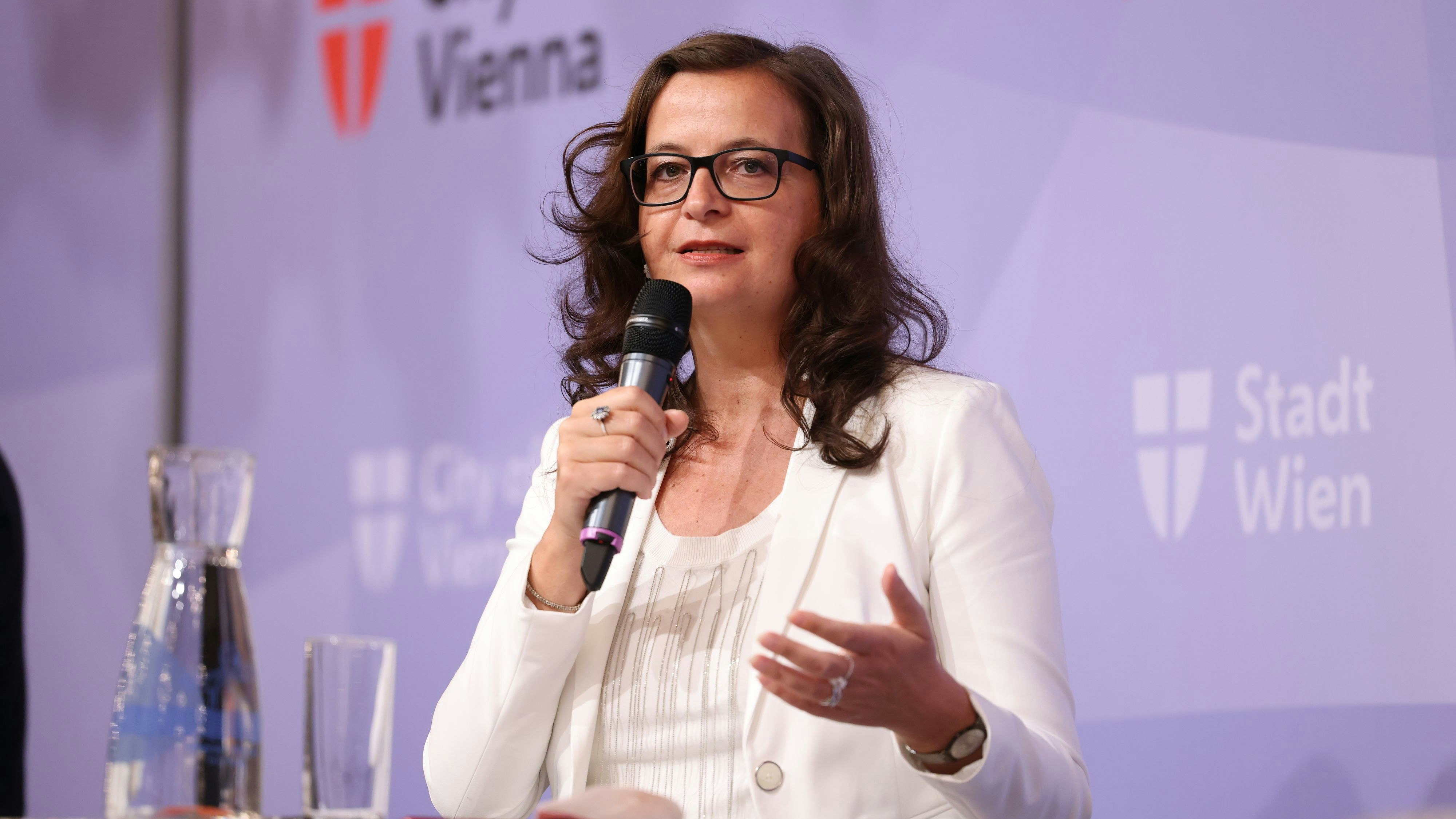 Nach jahrelangem Ringen ist die Einigung für ein fläckendeckendes Parkpickerls für Mobilitätsstadträtin Ulli Sima (SPÖ) einen Etappensieg: 