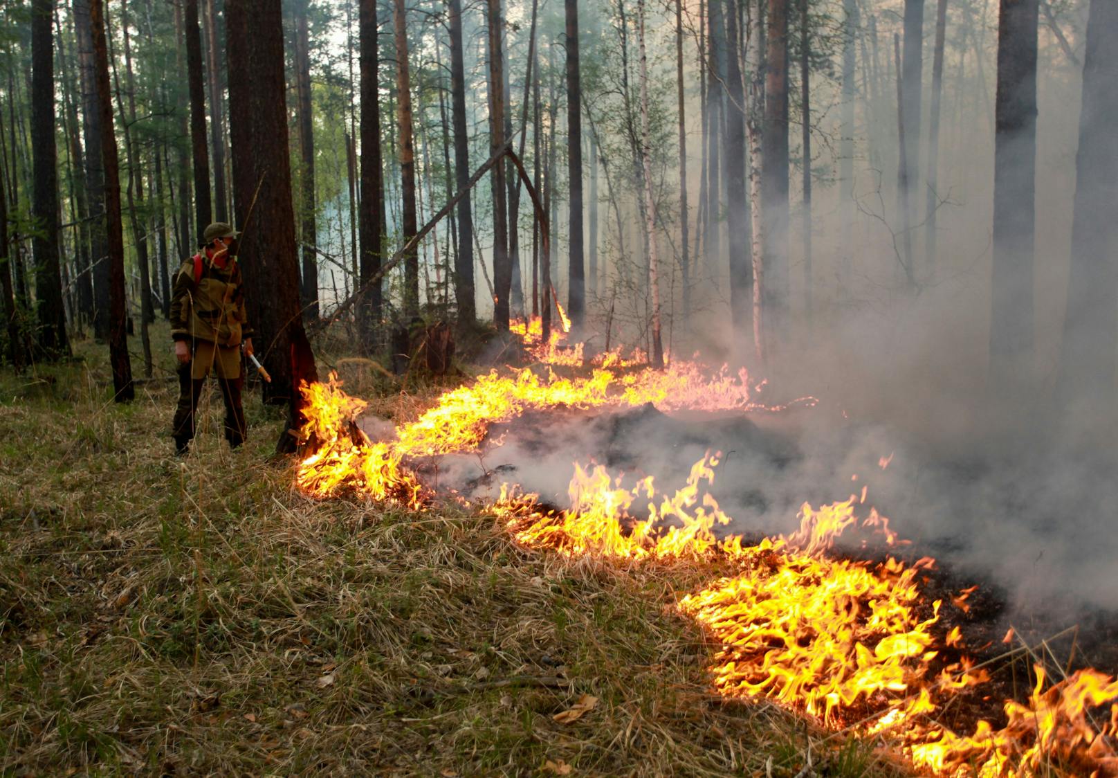 Ein Waldbrand in der Irkutsk-Region. (Archivbild, 2019)