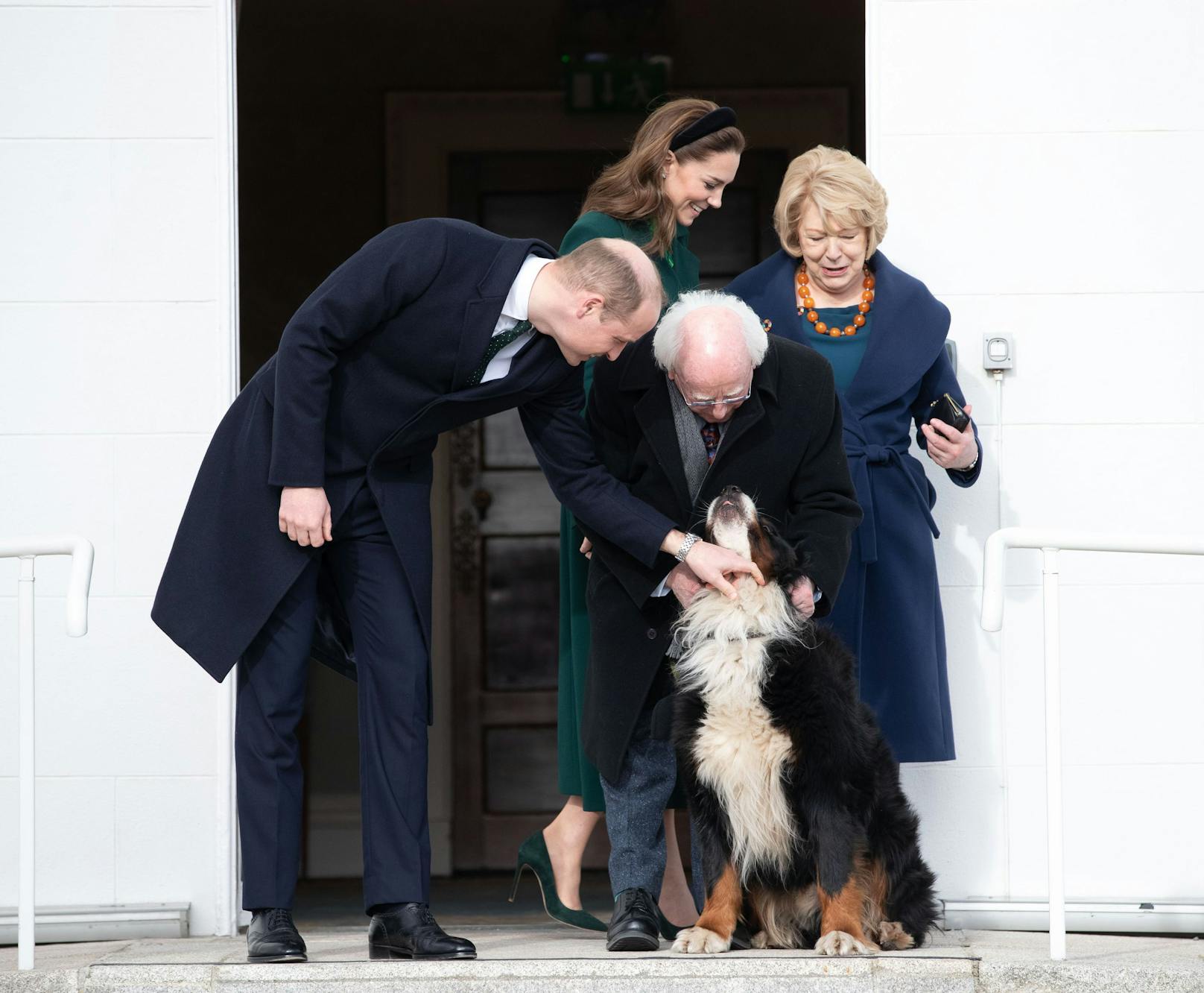 Auch die royale Familie ist von dem irischen Präsidentenhund entzückt. 