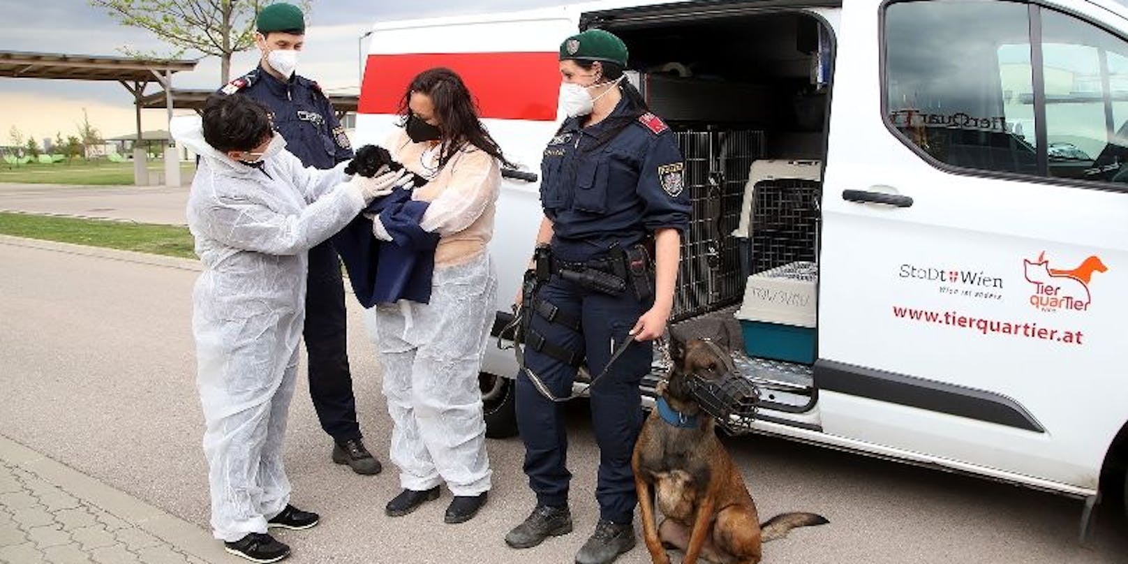 "Aktion Scharf gegen illegalen Welpenhandel" mit MitarbeiterInnen des TierQuarTier Wien und der Wiener Polizei