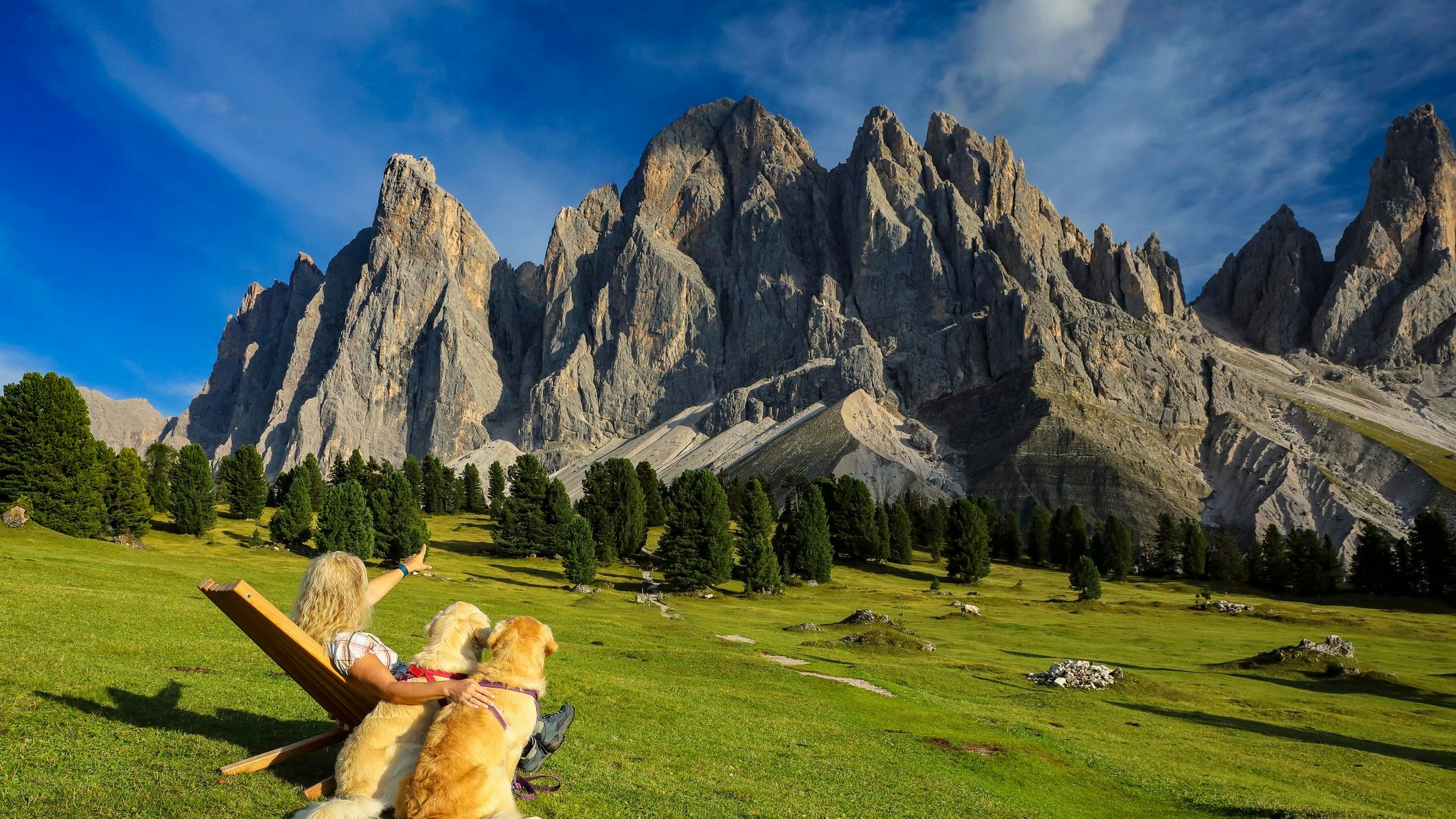 Heute.at - Gefahrloses Wandern neben Weideflächen - so geht's