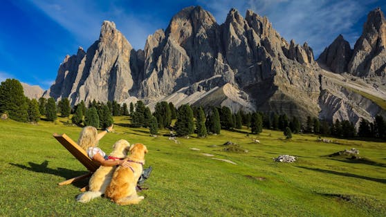PETA gibt Tipps für gefahrloses Wandern auf Almwiesen.