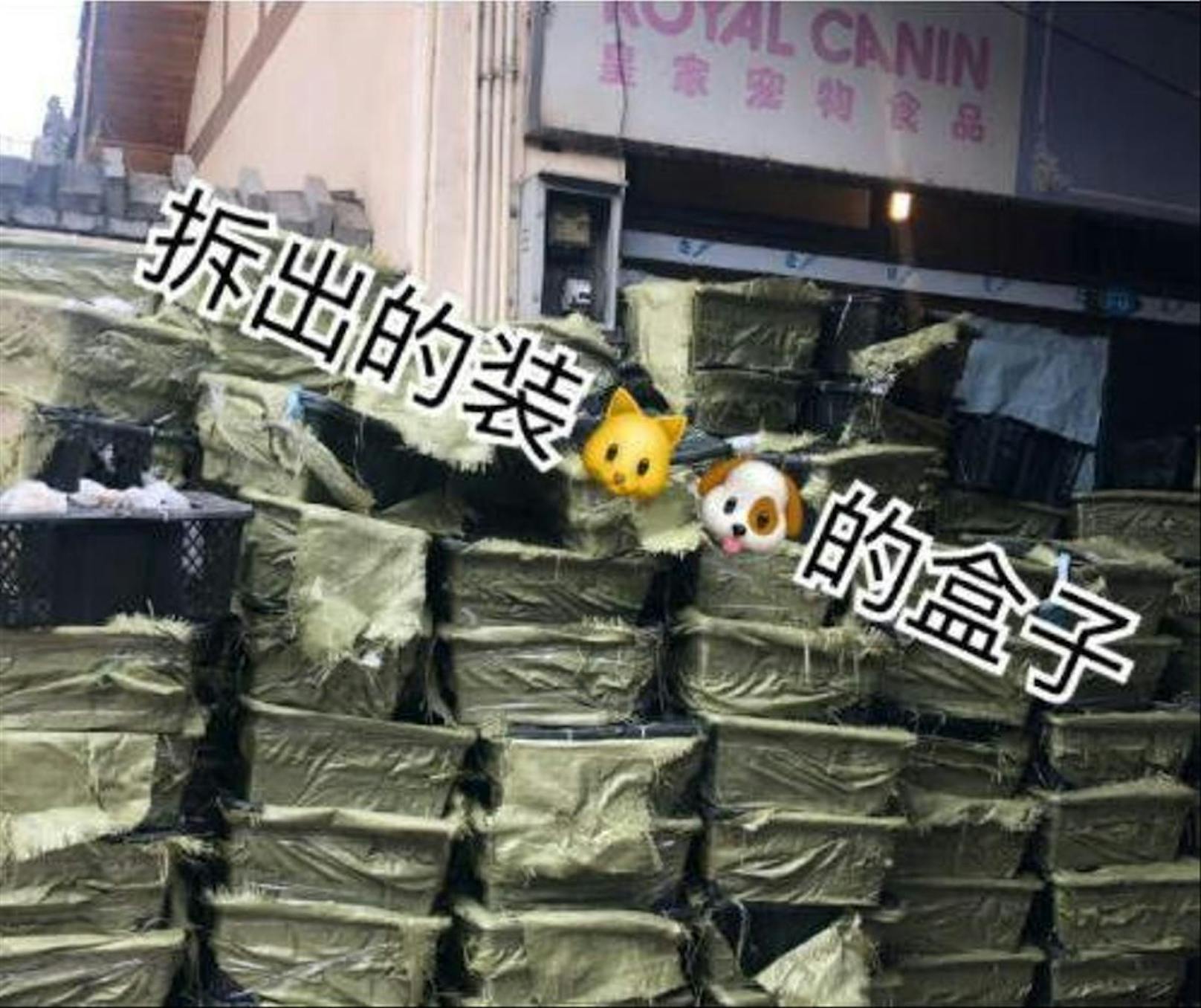 Die lebendigen Haustiere sollten als Ware verschickt werden. Im chinesischen Netz sind sogenannte "Mystery Boxes" sehr beliebt. Die Menschen bestellen sich oder anderen somit neue Waren.